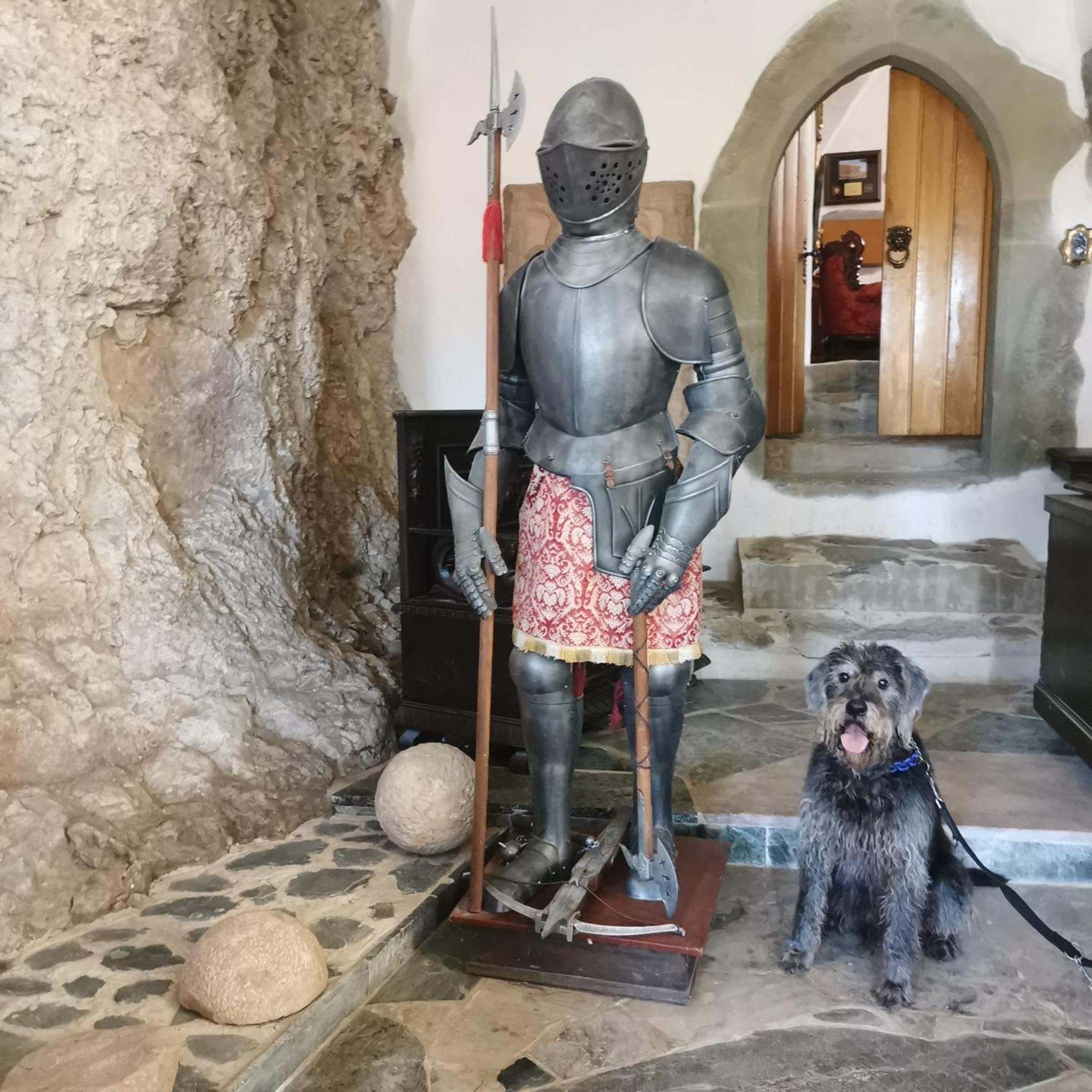 Burg Hermannstein - Monks Room Вецлар Экстерьер фото